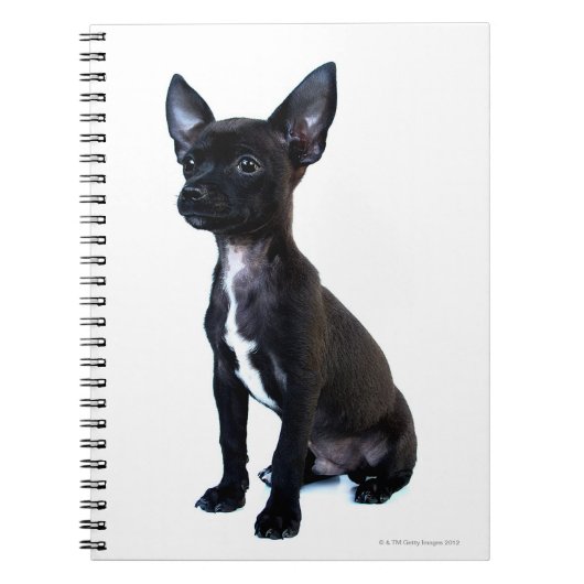 Zwarte Chihuahua puppy Notitieboek (Voorkant)