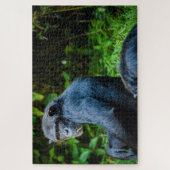 Zwarte chimpansee in het wild legpuzzel (Verticaal)
