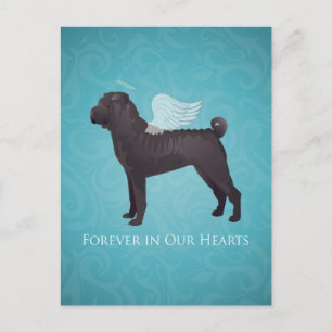 Zwarte Chinees Shar Pei Pet Memorial en sympathie Briefkaart