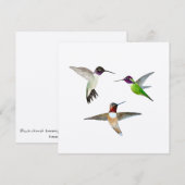 Zwarte-Chinned, Rufous en Anna's kolibries Bedankkaart (Voorkant / Achterkant)
