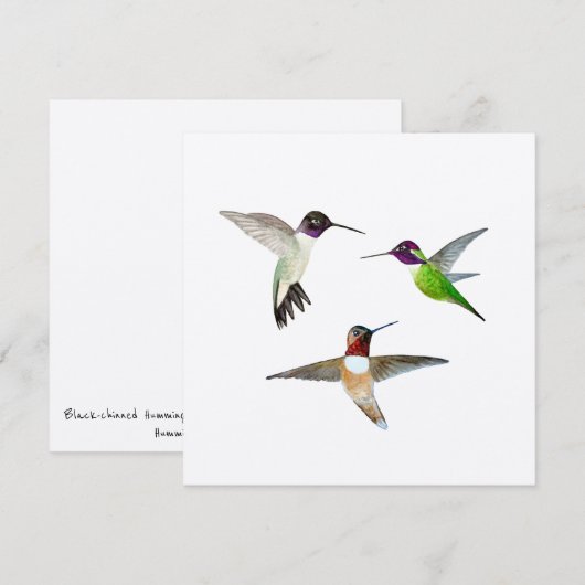 Zwarte-Chinned, Rufous en Anna's kolibries Bedankkaart (Voorkant / Achterkant)
