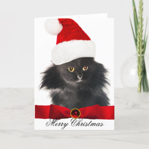 ZWARTE CHRISTMAS CAT MET SANTA CLAUS PET FEESTDAGEN KAART
