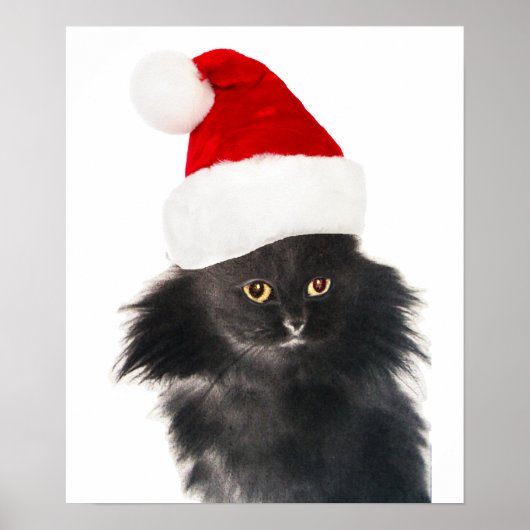 ZWARTE CHRISTMAS CAT MET SANTA CLAUS PET POSTER (Voorkant)