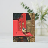 Zwarte cichorei briefkaart (Staand voorkant)