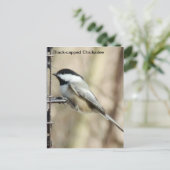 Zwarte cichorei briefkaart (Staand voorkant)