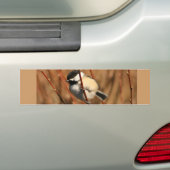 Zwarte cichorei bumpersticker (Op auto)