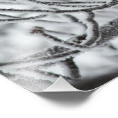 Zwarte cichorei foto afdruk (Hoek)