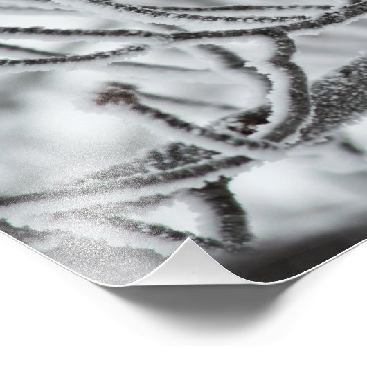 Zwarte cichorei foto afdruk (Hoek)