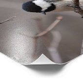 Zwarte cichorei foto afdruk (Hoek)