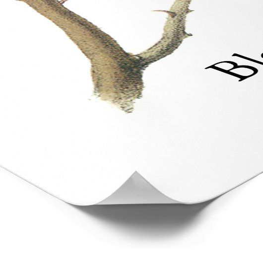 Zwarte cichorei, John Audubon Poster (Hoek)