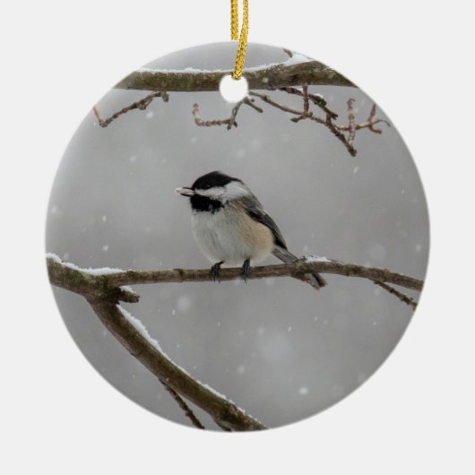 Zwarte cichorei | Keramisch Ornament (Voorkant)