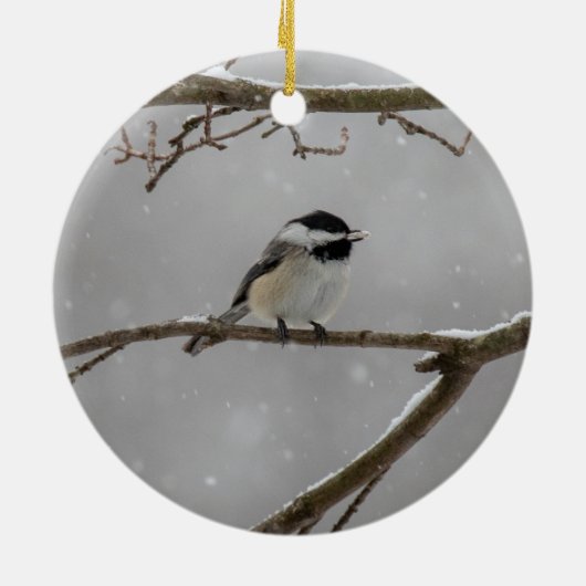 Zwarte cichorei | Keramisch Ornament (Achterkant)