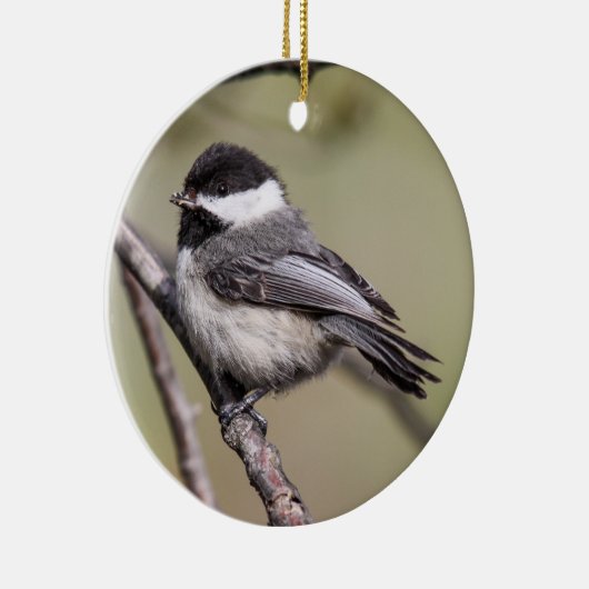 Zwarte cichorei keramisch ornament (Rechts)