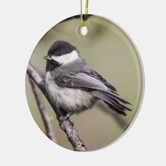 Zwarte cichorei keramisch ornament (Links)