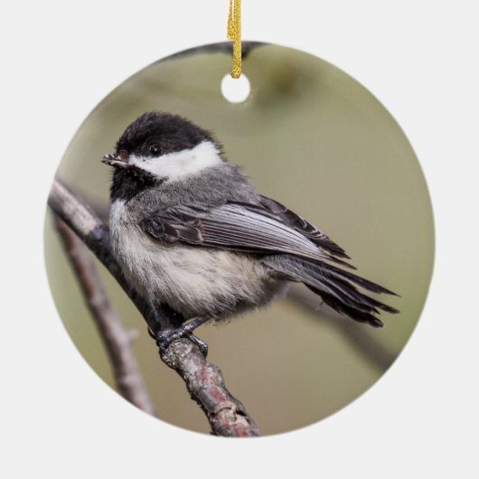 Zwarte cichorei keramisch ornament (Achterkant)