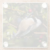 Zwarte cichorei met zwarte lammeren glazen onderzetter (Achterkant)