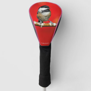 Zwarte cichorei op de Autumn Red-achtergrond Golfheadcover