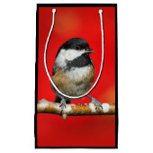 Zwarte cichorei op de Autumn Red-achtergrond Klein Cadeauzakje (Voorkant)