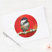 Zwarte cichorei op de Autumn Red-achtergrond Ronde Sticker (Envelop)