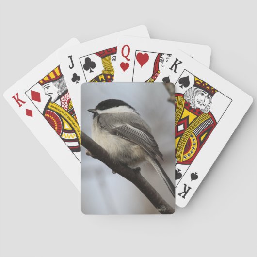 Zwarte cichorei pokerkaarten (Achterkant)