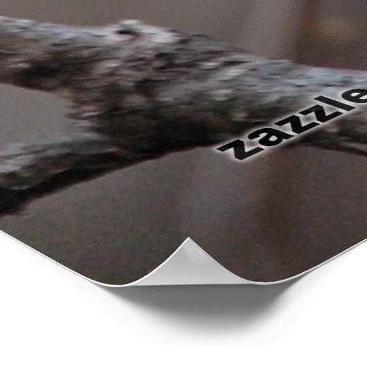 Zwarte cichorei poster (Hoek)