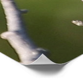 Zwarte cichorei poster (Hoek)