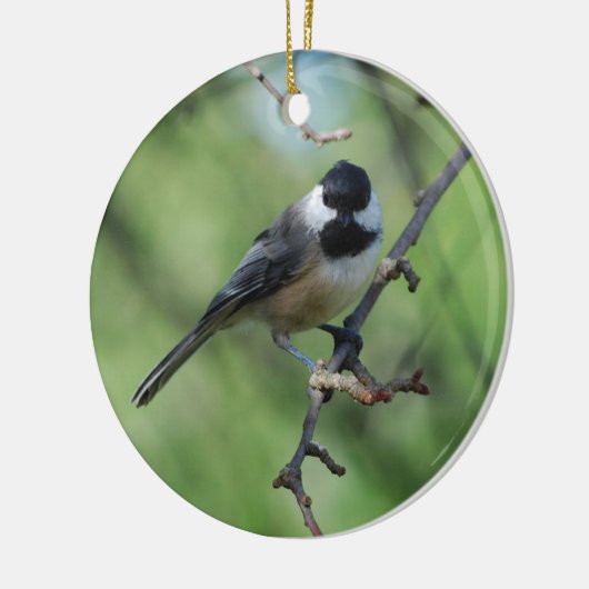 Zwarte-cichorei-sierbloem Keramisch Ornament (Links)