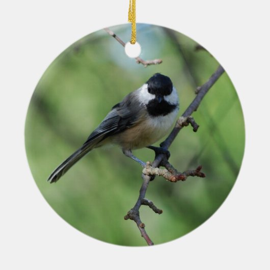 Zwarte-cichorei-sierbloem Keramisch Ornament (Achterkant)