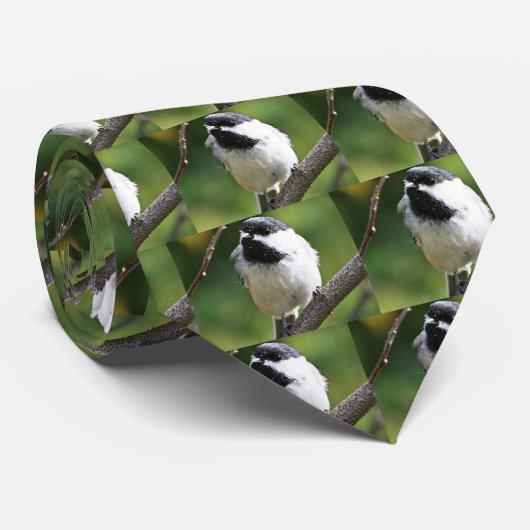 Zwarte cichorei stropdas (Opgerold)