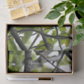 Zwarte cichorei tissuepapier (Geschenk)