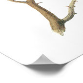 Zwarte cichorei van Audubon Poster (Hoek)