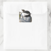 Zwarte cichorei vierkante sticker (Tas)