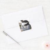 Zwarte cichorei vierkante sticker (Envelop)