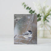 Zwarte cichorei - Zongvogel Briefkaart (Staand voorkant)