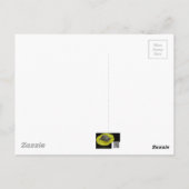 Zwarte cichorei - Zongvogel Briefkaart (Achterkant)