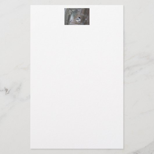 Zwarte cichorei - Zongvogel Briefpapier (Voorkant)
