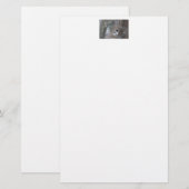 Zwarte cichorei - Zongvogel Briefpapier (Voorkant / Achterkant)