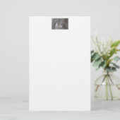 Zwarte cichorei - Zongvogel Briefpapier (Staand voorkant)