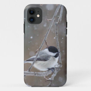 Zwarte cichorei - Zongvogel iPhone 11 Hoesje