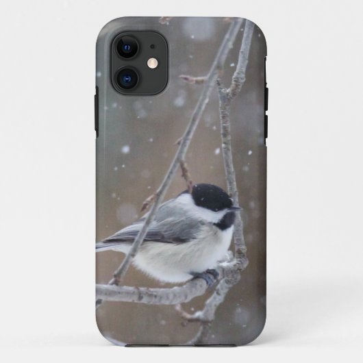 Zwarte cichorei - Zongvogel Case-Mate iPhone Case (Achterkant)