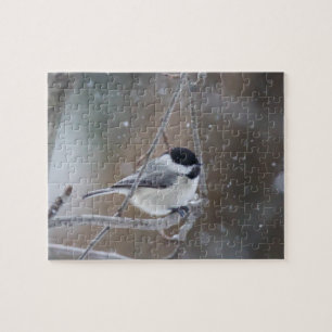 Zwarte cichorei - Zongvogel Legpuzzel