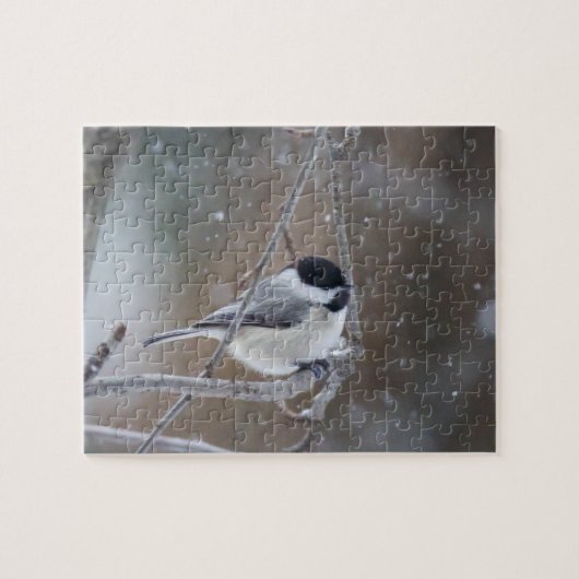 Zwarte cichorei - Zongvogel Legpuzzel (Horizontaal)