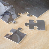 Zwarte cichorei - Zongvogel Legpuzzel (Zijkant)