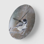 Zwarte cichorei - Zongvogel Ronde Klok (Hoek)