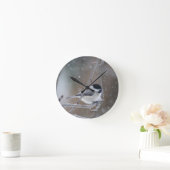 Zwarte cichorei - Zongvogel Ronde Klok (Huis)