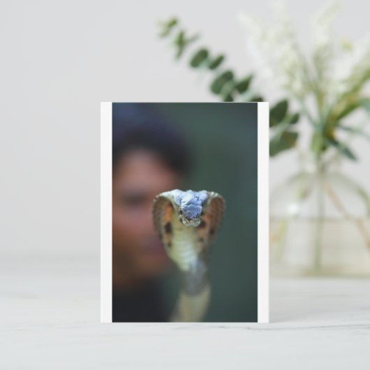 Zwarte cobra briefkaart (Staand voorkant)