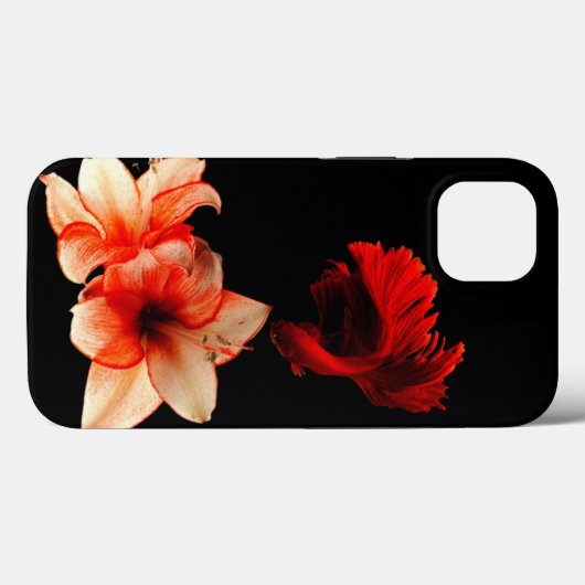 Zwarte cover (Achterkant (horizontaal))