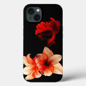 Zwarte cover (Achterkant)