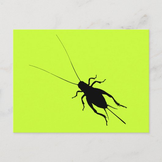 Zwarte cricket briefkaart (Voorkant)