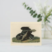 Zwarte cultuur, van de Amerikaanse vogels van Audu Briefkaart (Staand voorkant)